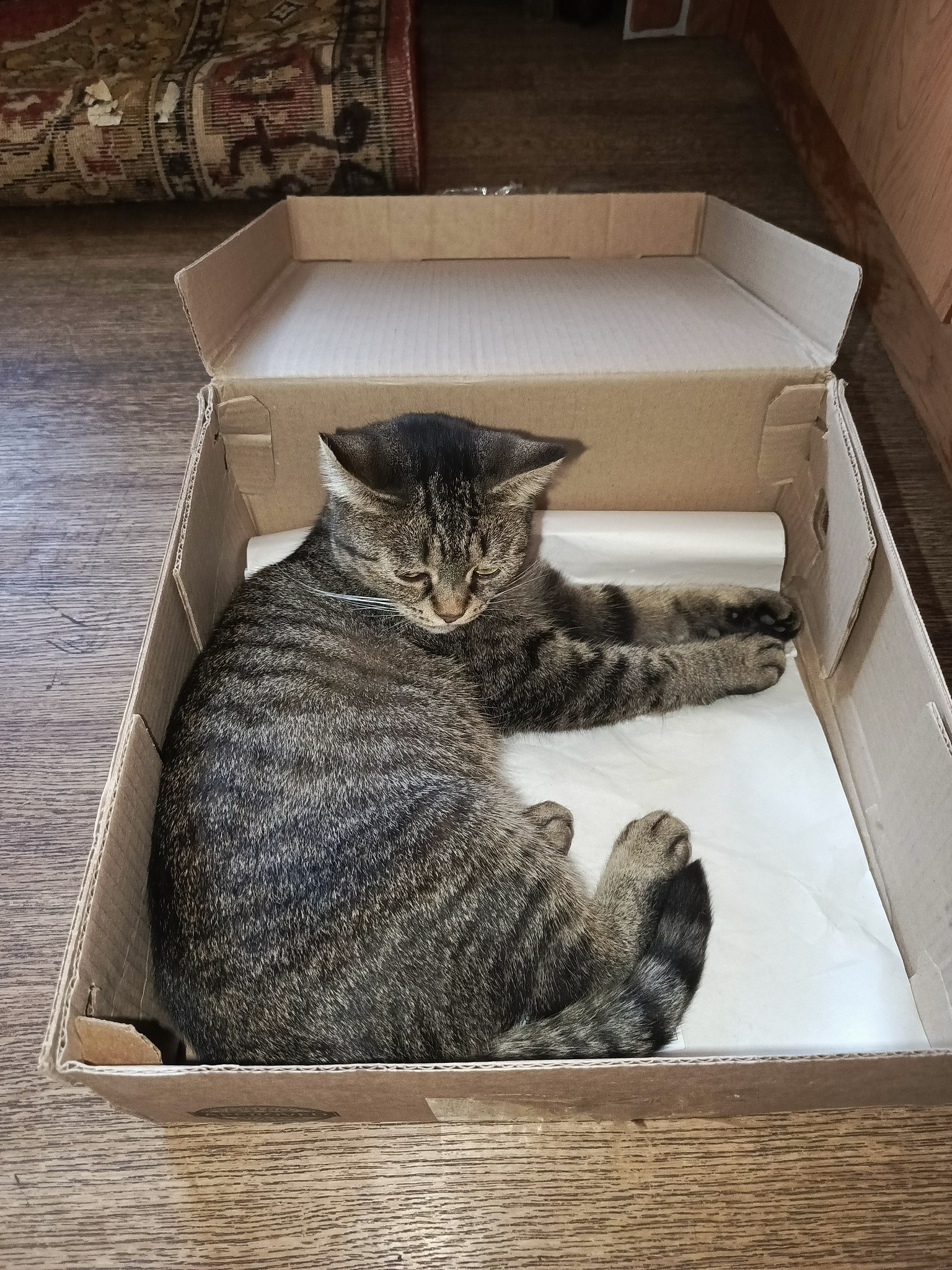 *****˸��***** *****������***** - 24 ������ 2025 � 10:10