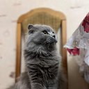 ���� Mikhail, �����-��������� - ��������� 18 ������ 2025 � ������ ������ ��������