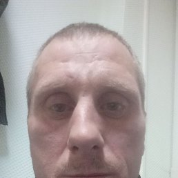 �������, 40 ���, ���������