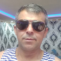 ����, �����-���������, 48 ���