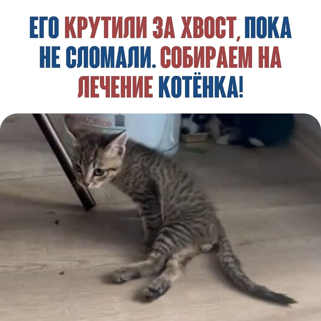 ���� ��������� ������� �����������, ������ ��� ����� �������. ���� ����, �� ����� ���� ������! ��� ...
