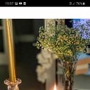 ���� ����, ��������� - ��������� 14 ������� 2025 � ������ ������ ��������