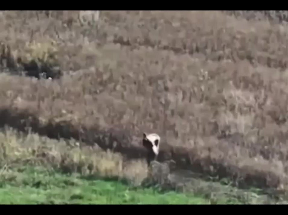       2,5         ...