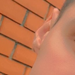 ���������, ��������, 24 ����