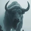 ���� ���, ������, 53 ���� - ��������� 23 ���� 2026 � ������ ������