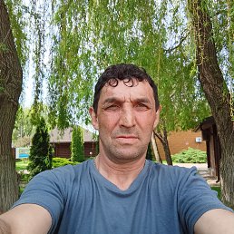 , 49 , 