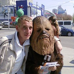 , 41, 