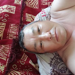 , 29, 