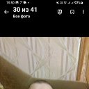  , , 82  -  27  2023