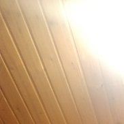 , 41 , 