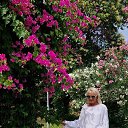 ���� �����, ������������ - ��������� 4 ���� 2026 � ������ ���� ����������