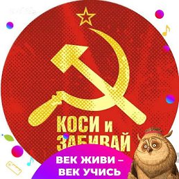 ������, ����������, 45 ���