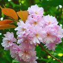  , , 39  -  1  2025    2025 (1/03/2024 // 15:43)