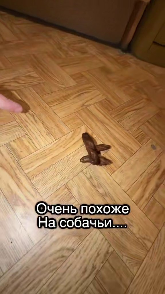 ������ ������ ��� ����������)