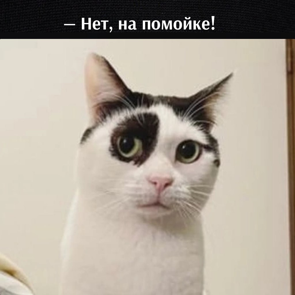       - 16  2025  18:34 - 3