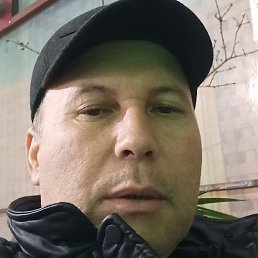 ����, ������, 41 ���