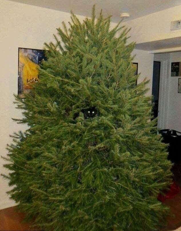    ...  ...