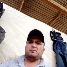 , 43, 
