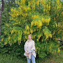 ���� ����, �������, 58 ��� - ��������� 11 ������� 2026