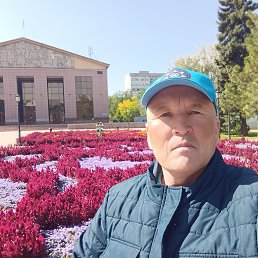 , 54, 