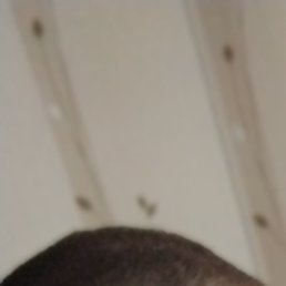 ������� �������, �������, 31 ���