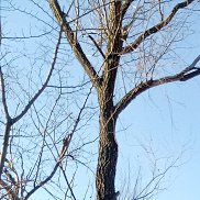 �������, 50 ���, ������