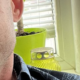 ��������, ������-��-����, 44 ����