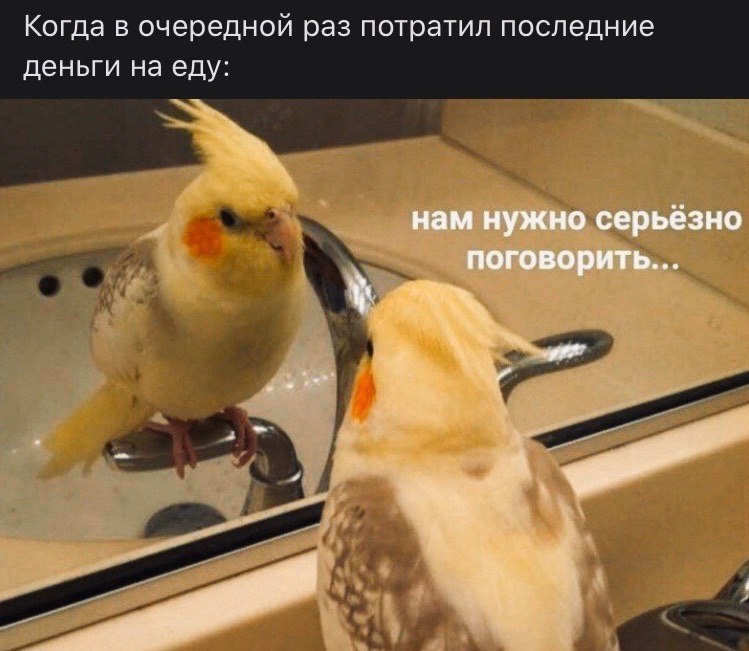   - 9  2023  04:39
