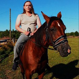 �����, �������, 43 ����