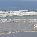 ���� ����, �����, 47 ��� - ��������� 3 ������� 2024 � ������ ���� ����������