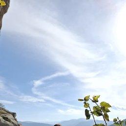 ��������, ������, 37 ���