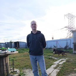 , 41, 