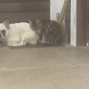 ���� �������, ������, 48 ��� - ��������� 12 ������ 2025 � ������ ������ ��������