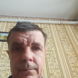 ˸��, 41 ���, ������