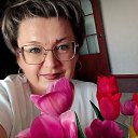 ���� �������, ����, 53 ���� - ��������� 13 ���� 2026 � ������ ���� ����������