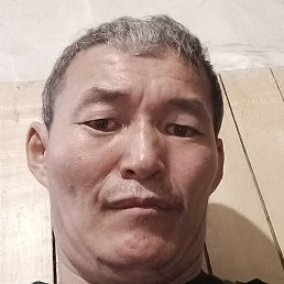 ����, ��������, 41 ���