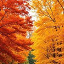 ���� �����, ����������� - ��������� 15 ������� 2025 � ������ ������ ��������