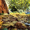  Galina,  -  27  2025    