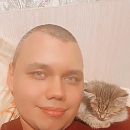 , 29 , 