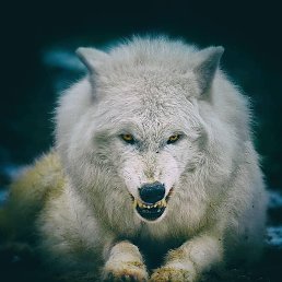 ���� ������� �, ������, 38 ��� - ��������� 31 ������� 2023