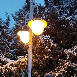 ������, ���������, 32 ����