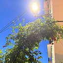 ���� Dilara, ������, 26 ��� - ��������� 15 ����� 2026 � ������ ���� ����������