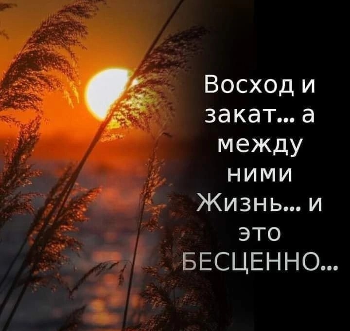   ,    . - 21  2025  20:59