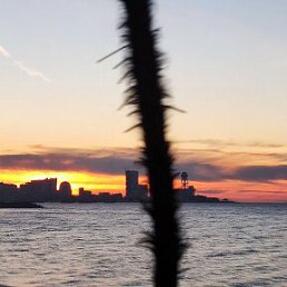  Murad, , 31  -  16  2023