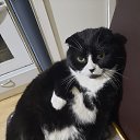 ���� ������, ������������ - ��������� 26 ������ 2025 � ������ ������ ��������