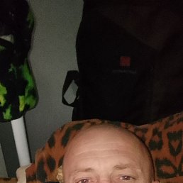 , 41 , 