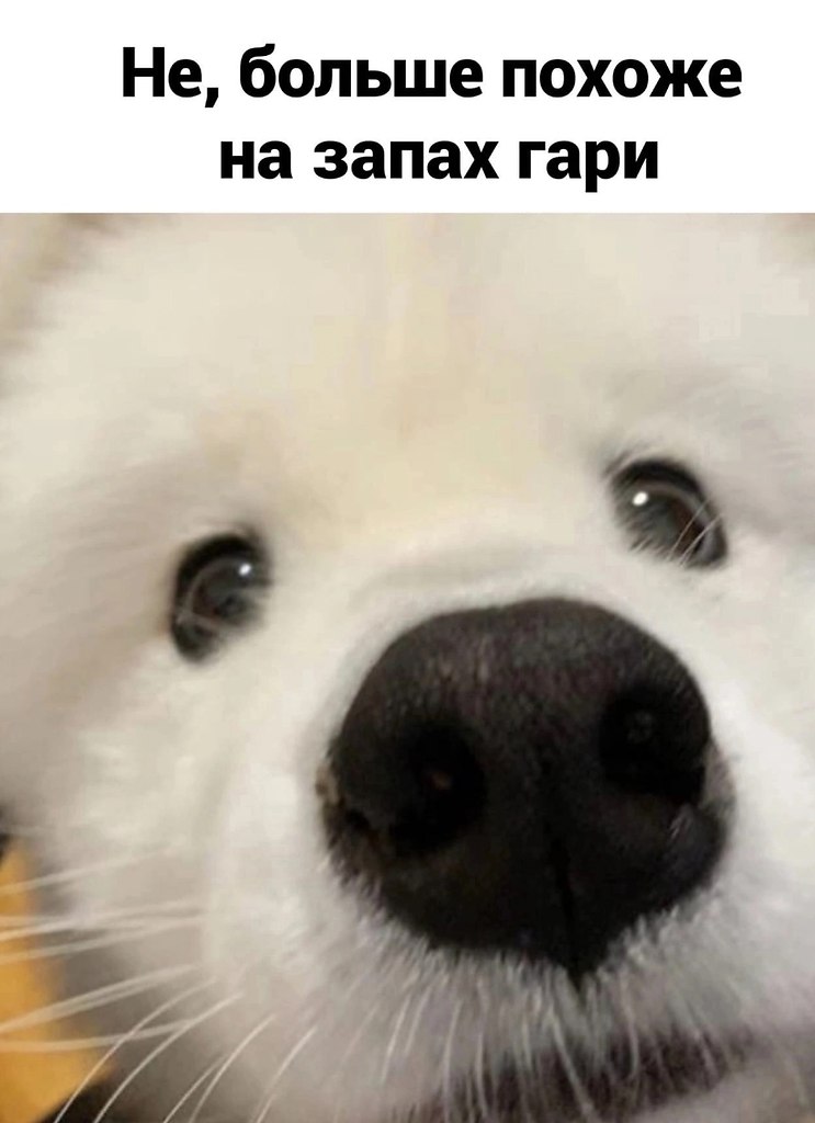 ���� ������� - 3
