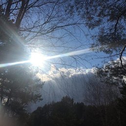 ������, ������