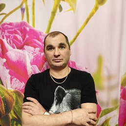 , 41, 