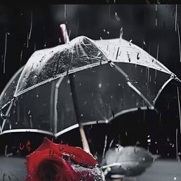 �����, ����������, 42 ����